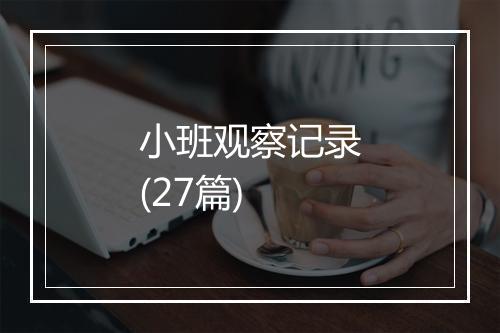 小班观察记录(27篇)