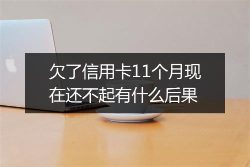 欠了信用卡11个月现在还不起有什么后果