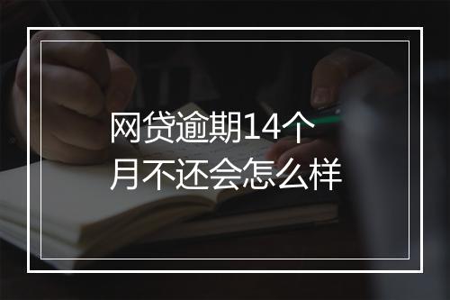 网贷逾期14个月不还会怎么样