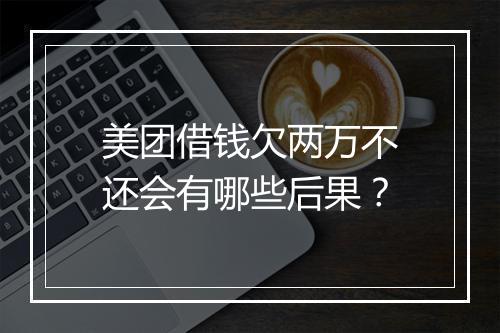 美团借钱欠两万不还会有哪些后果？