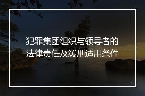 犯罪集团组织与领导者的法律责任及缓刑适用条件