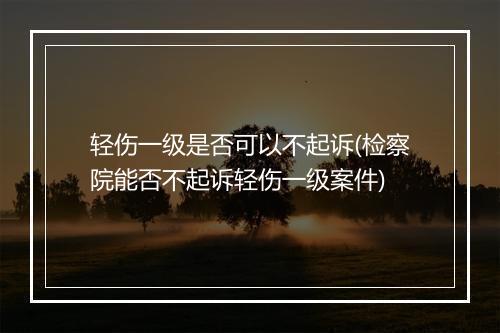 轻伤一级是否可以不起诉(检察院能否不起诉轻伤一级案件)
