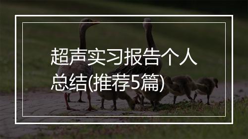 超声实习报告个人总结(推荐5篇)