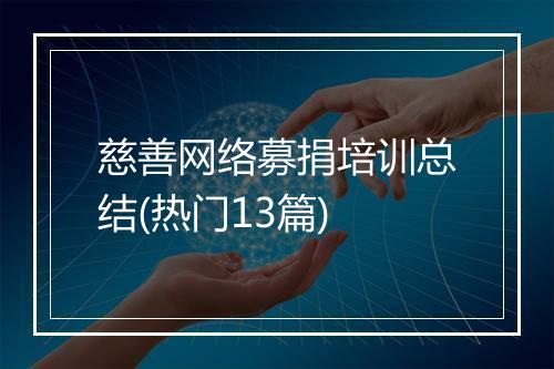 慈善网络募捐培训总结(热门13篇)