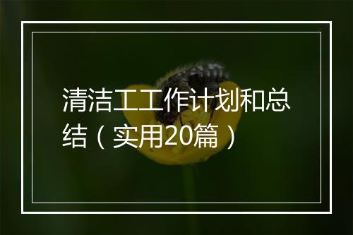 清洁工工作计划和总结（实用20篇）