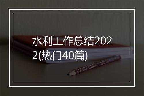 水利工作总结2022(热门40篇)