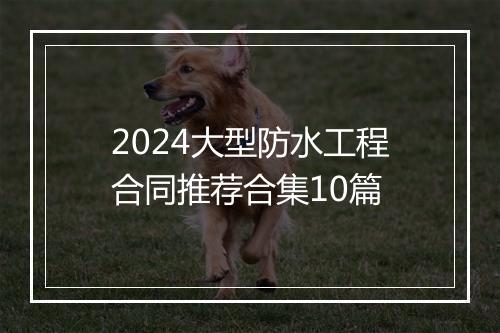 2024大型防水工程合同推荐合集10篇
