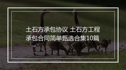 土石方承包协议 土石方工程承包合同简单甄选合集10篇