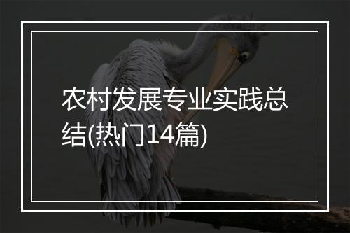 农村发展专业实践总结(热门14篇)
