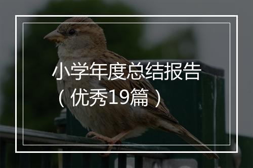 小学年度总结报告（优秀19篇）