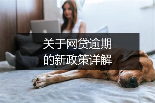 关于网贷逾期的新政策详解