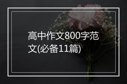 高中作文800字范文(必备11篇)