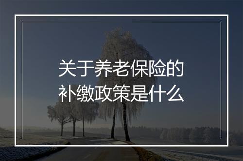 关于养老保险的补缴政策是什么