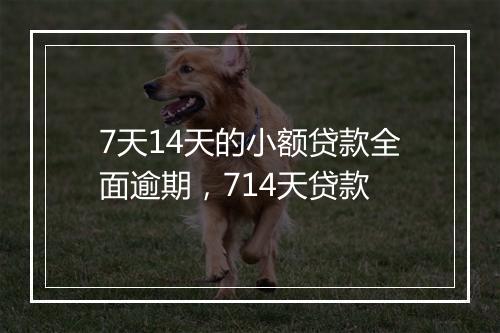 7天14天的小额贷款全面逾期，714天贷款