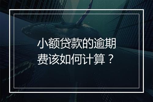 小额贷款的逾期费该如何计算？