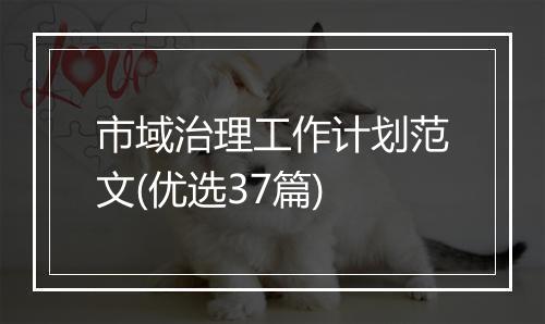 市域治理工作计划范文(优选37篇)