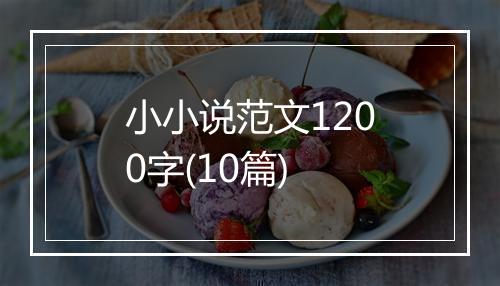 小小说范文1200字(10篇)