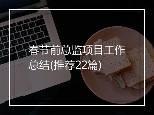 春节前总监项目工作总结(推荐22篇)