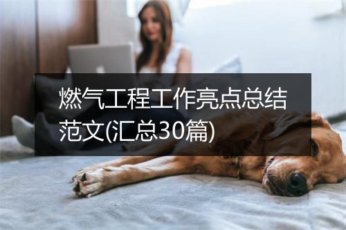 燃气工程工作亮点总结范文(汇总30篇)