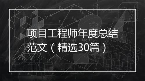 项目工程师年度总结范文（精选30篇）