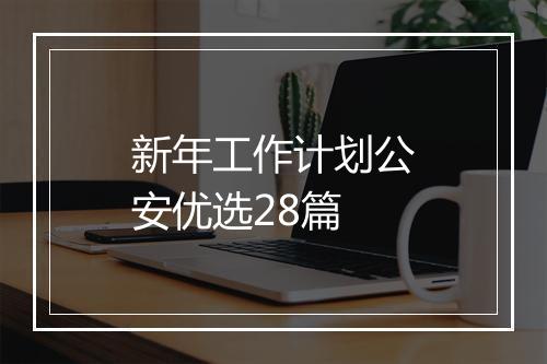 新年工作计划公安优选28篇