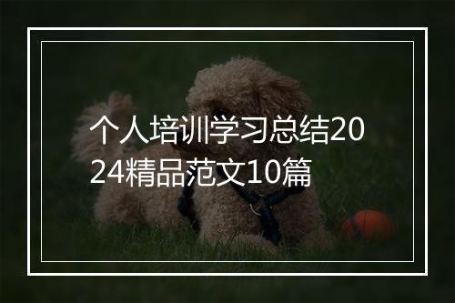 个人培训学习总结2024精品范文10篇