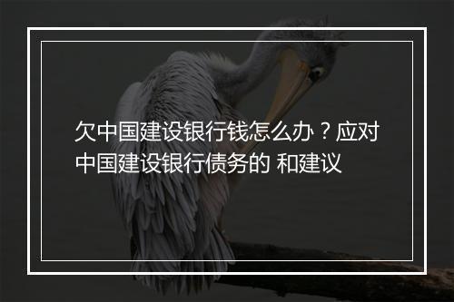 欠中国建设银行钱怎么办？应对中国建设银行债务的 和建议