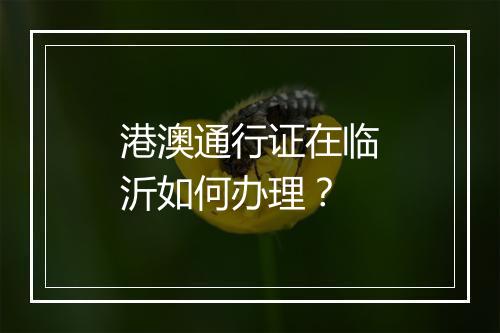 港澳通行证在临沂如何办理？