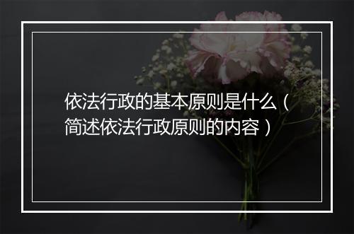 依法行政的基本原则是什么（简述依法行政原则的内容）