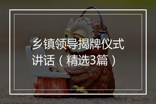 乡镇领导揭牌仪式讲话（精选3篇）