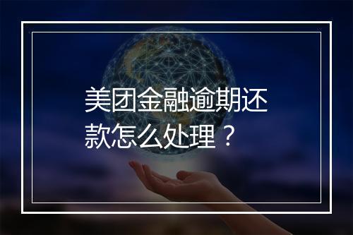 美团金融逾期还款怎么处理？