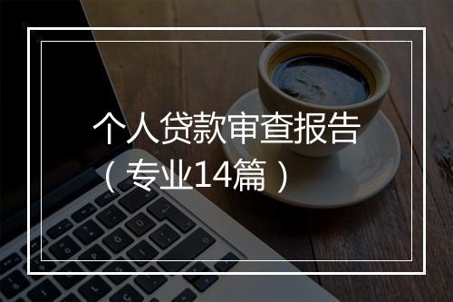 个人贷款审查报告（专业14篇）