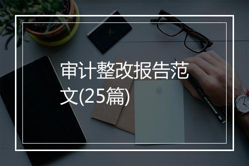审计整改报告范文(25篇)