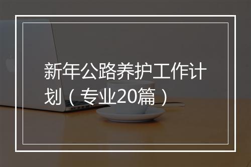 新年公路养护工作计划（专业20篇）
