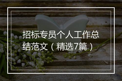 招标专员个人工作总结范文（精选7篇）