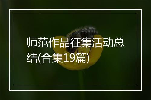师范作品征集活动总结(合集19篇)