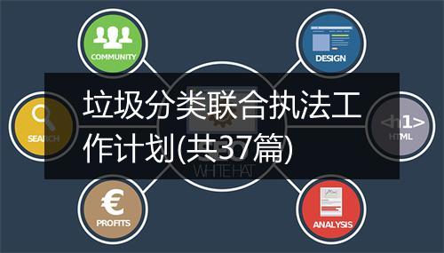 垃圾分类联合执法工作计划(共37篇)