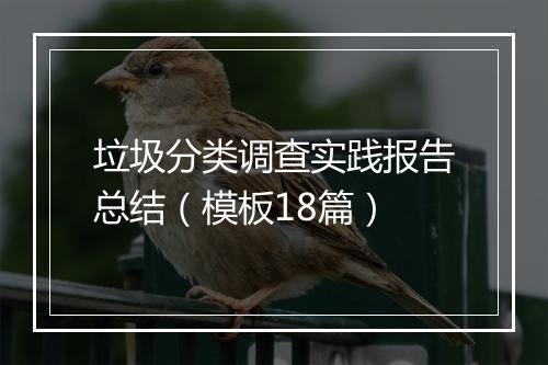 垃圾分类调查实践报告总结（模板18篇）