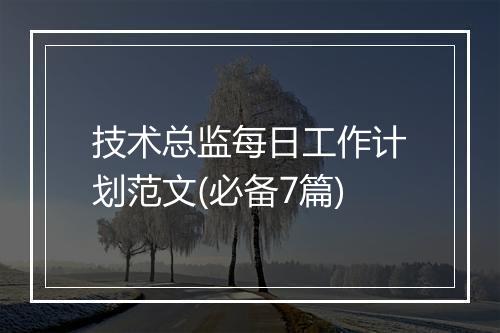 技术总监每日工作计划范文(必备7篇)
