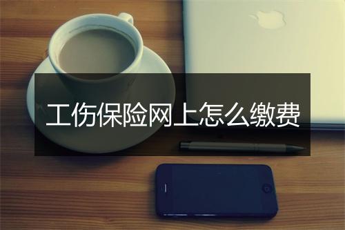 工伤保险网上怎么缴费