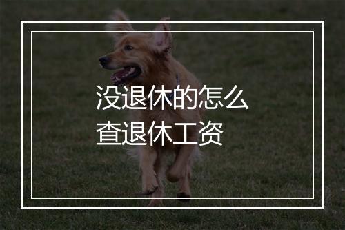 没退休的怎么查退休工资