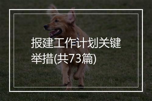 报建工作计划关键举措(共73篇)