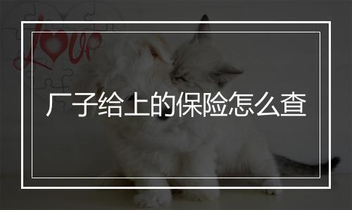 厂子给上的保险怎么查