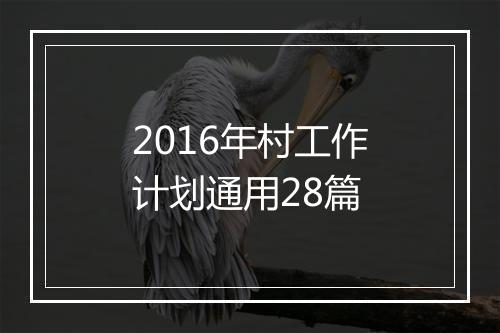 2016年村工作计划通用28篇