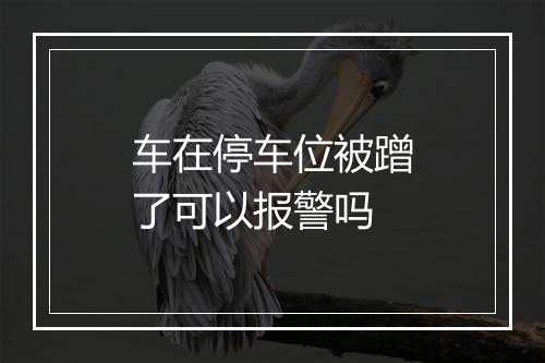 车在停车位被蹭了可以报警吗