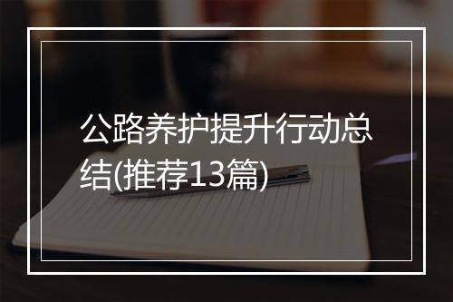 公路养护提升行动总结(推荐13篇)