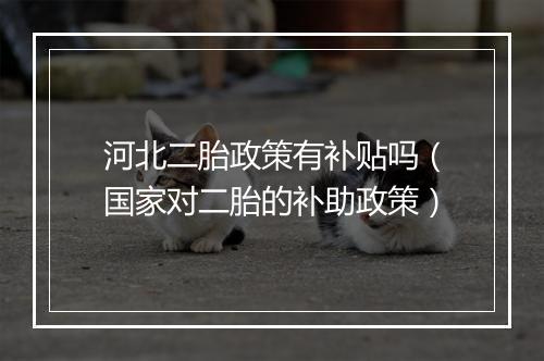 河北二胎政策有补贴吗（国家对二胎的补助政策）