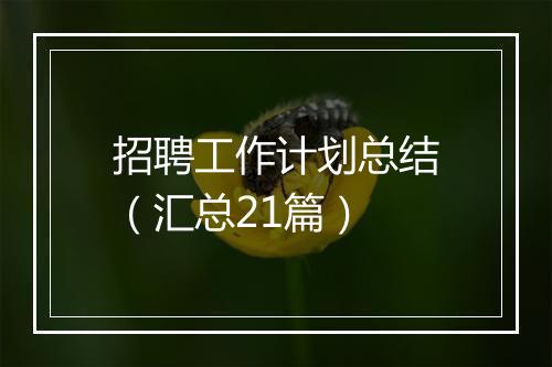 招聘工作计划总结（汇总21篇）