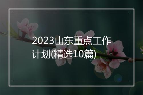 2023山东重点工作计划(精选10篇)