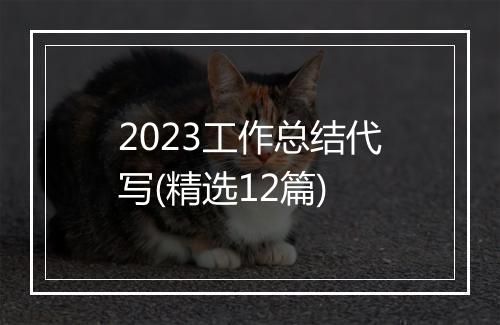 2023工作总结代写(精选12篇)